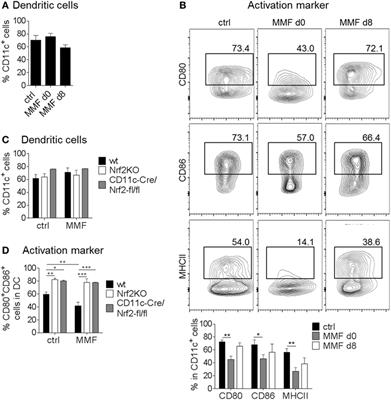 Role of Nuclear Factor (Erythroid-Derived 2)-Like 2 Signaling for Effects of Fumaric Acid Esters on Dendritic Cells